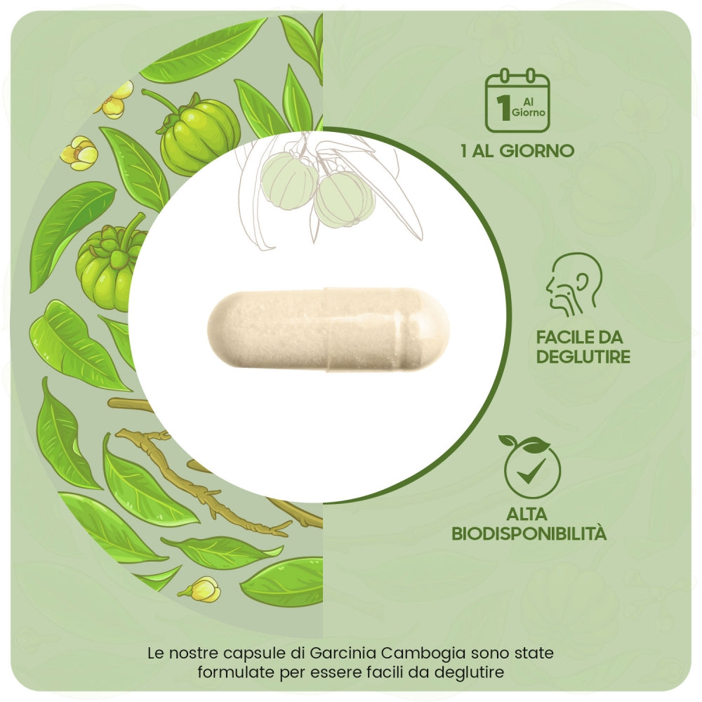 garcinia-cambogia-pure-60-caps-it-5