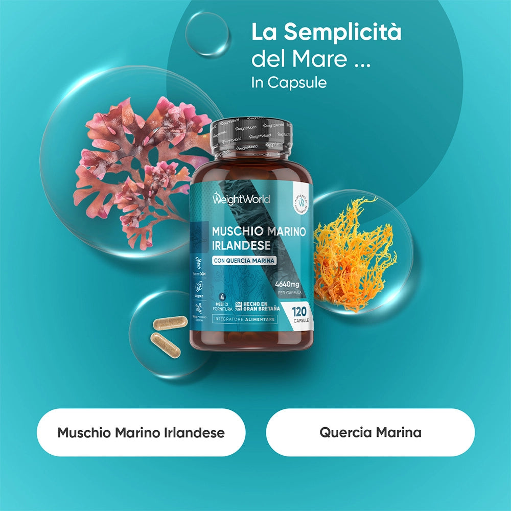 irish-sea-moss-120-capsules-it-2