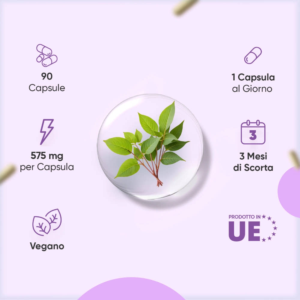 liposomal-nad-with-resveratrol-caps-it-3