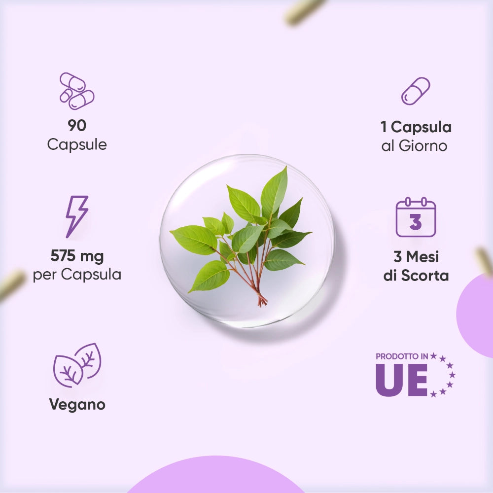 liposomal-nad-with-resveratrol-caps-it-3