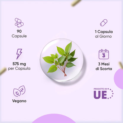 liposomal-nad-with-resveratrol-caps-it-3