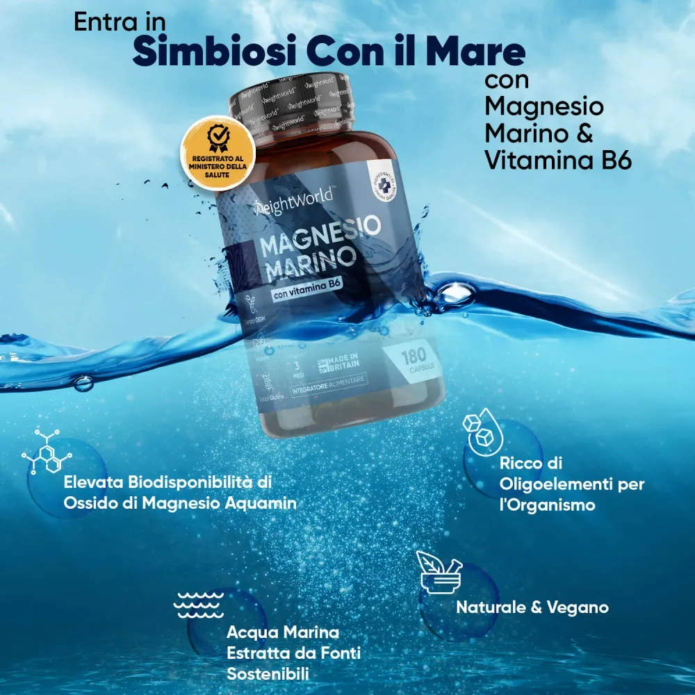 marine-magnesium-it-02