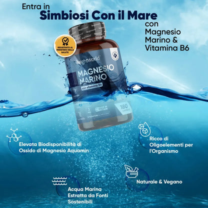 marine-magnesium-it-02