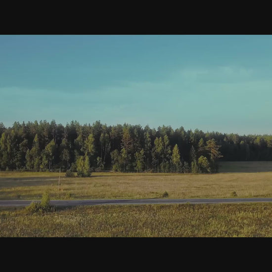 file_example_MP4_480_1_5MG.mp4