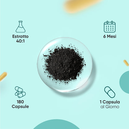 pure-himalayan-shilajit-20000mg-3