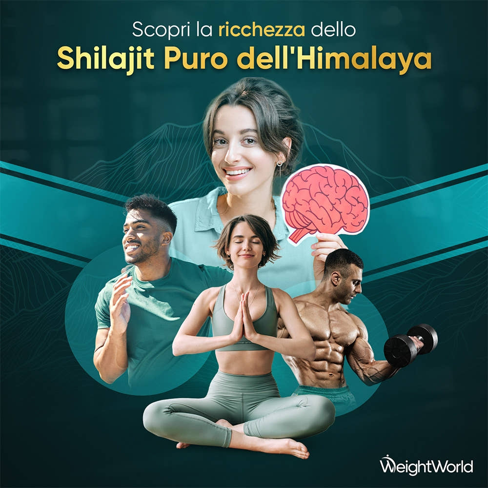 purified-shilajit-resin-ww-it-2