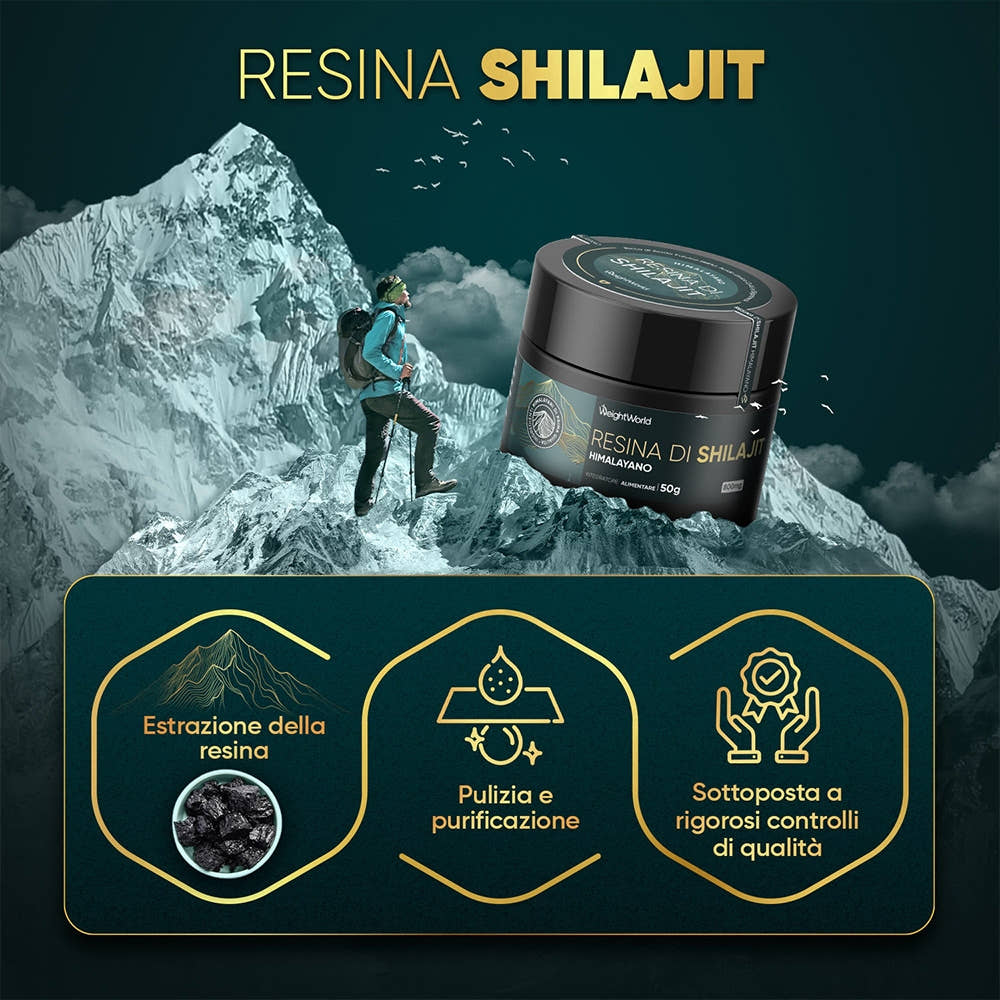 purified-shilajit-resin-ww-it-4