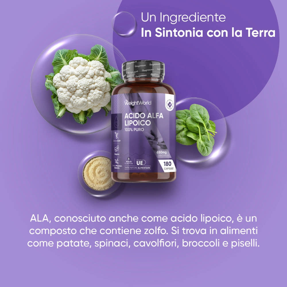 weightworld-it-alphaliponic-capsules-bottle-02