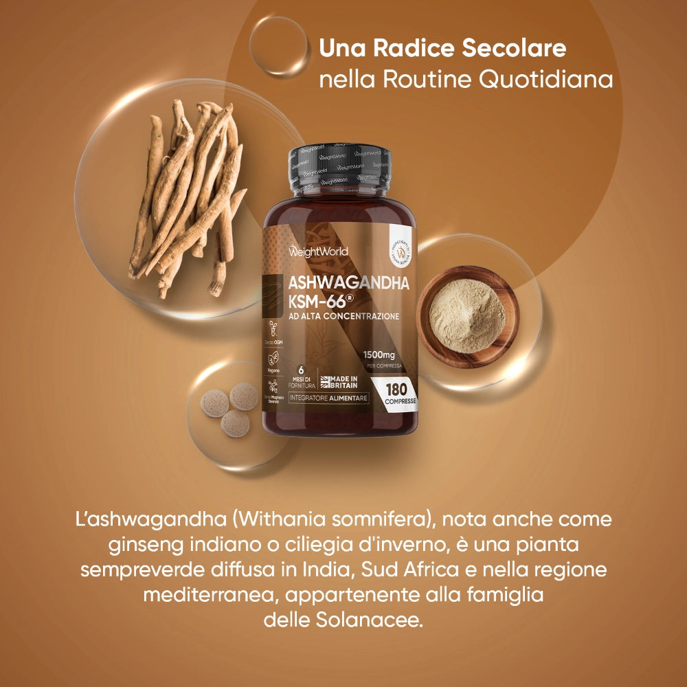 weightworld-it-ashwagabdha-ksm-bottle-02