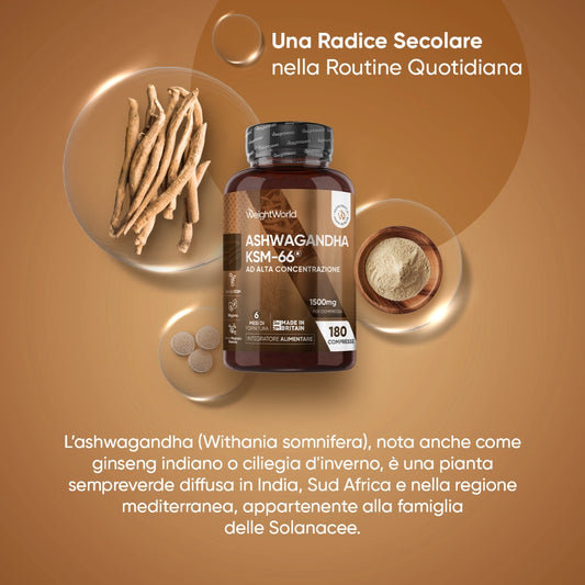 weightworld-it-ashwagabdha-ksm-bottle-02