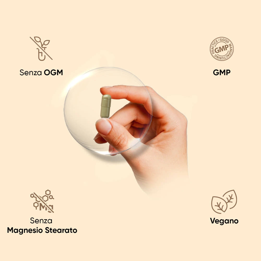 weightworld-it-ashwagandha-caps-03