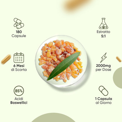 weightworld-it-boswellia-bottle-03