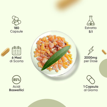 weightworld-it-boswellia-capsules-bottle-03