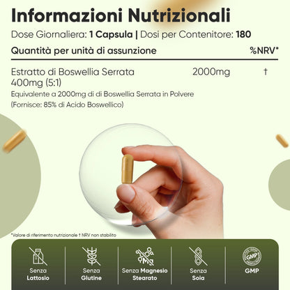 weightworld-it-boswellia-capsules-bottle-ingrediantions