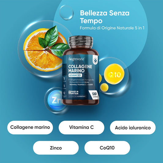 weightworld-it-collagenen-marino-02