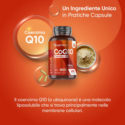 weightworld-it-coq10-caps-01