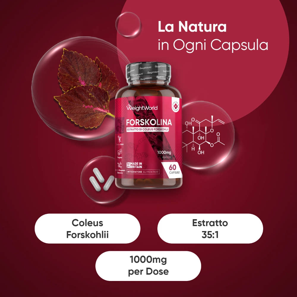 weightworld-it-forskolin-caps-01