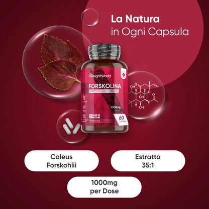 weightworld-it-forskolin-caps-01