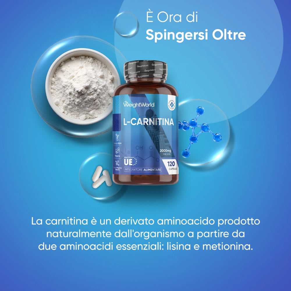 what happens if you take l carnitine without working out Does L-Carnitine Really Burn Fat Without Exercise? what happens if you take l carnitine without working out Does L-Carnitine Really Burn Fat Without Exercise?
