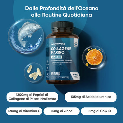 weightworld-it-marine-collagen-advance-cap-01