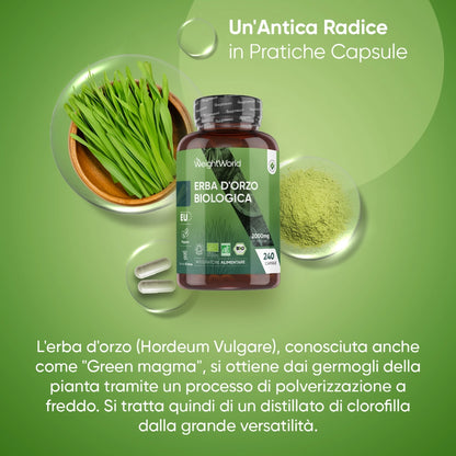 weightworld-organic-barley-grass-2000mg-240-capsules-bottle-02