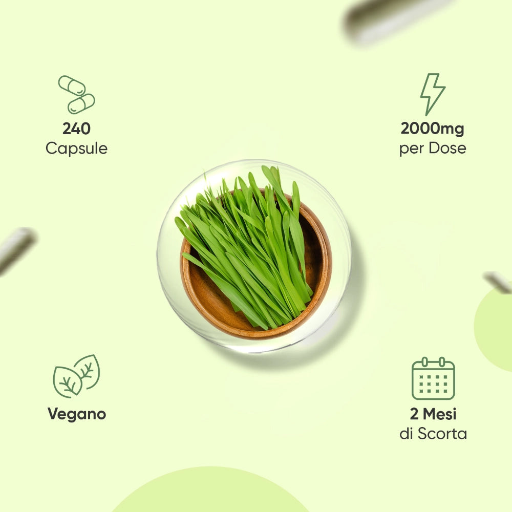 weightworld-organic-barley-grass-2000mg-240-capsules-bottle-03