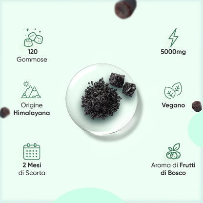 weightworld-shilajit-gummies-120-4