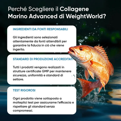 weoghtworld-it-marine-collagen-advance-bottle-05_HD
