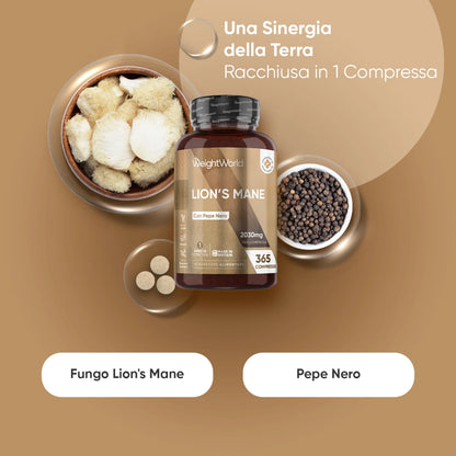 ww-it-lion-mane-mushroom-extract-capsules-2