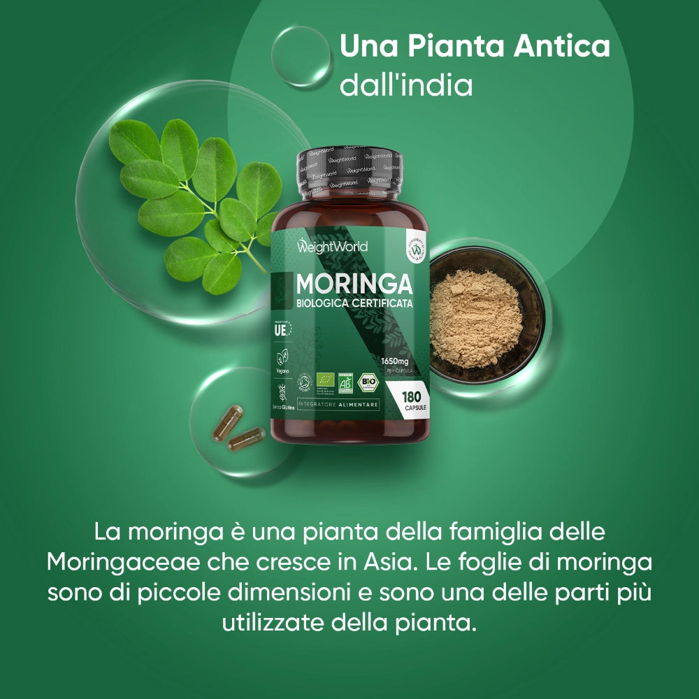 ww-it-organic-pure-moringa-it-2