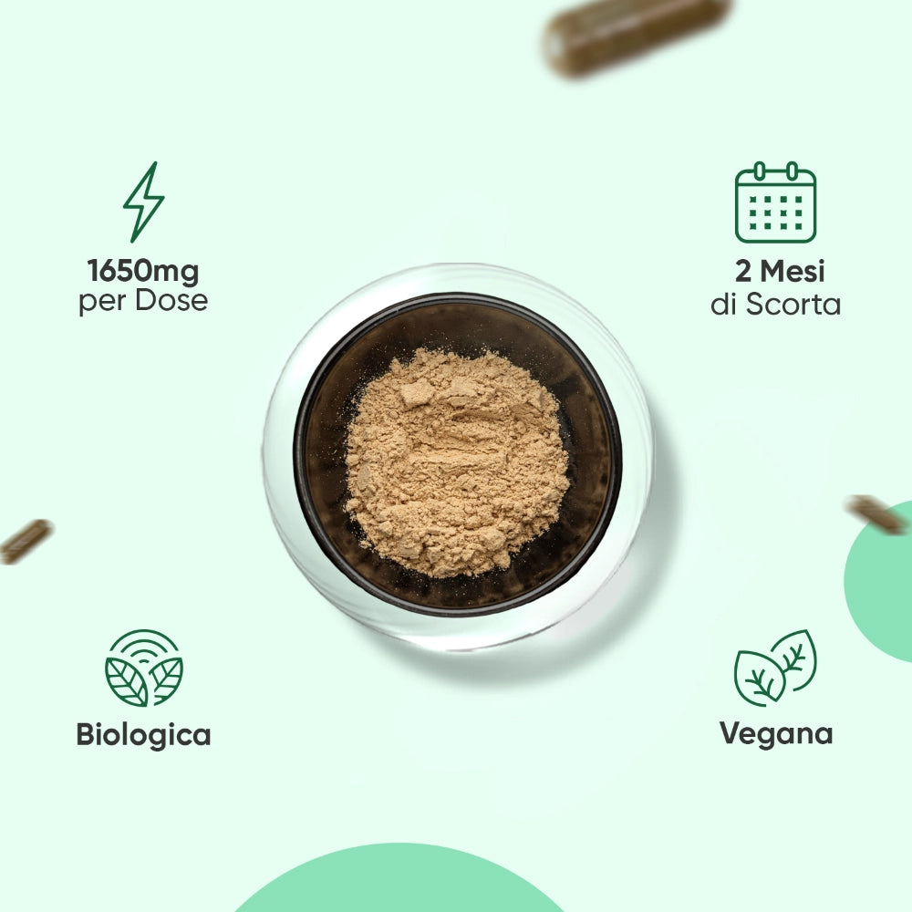 ww-it-organic-pure-moringa-it-3