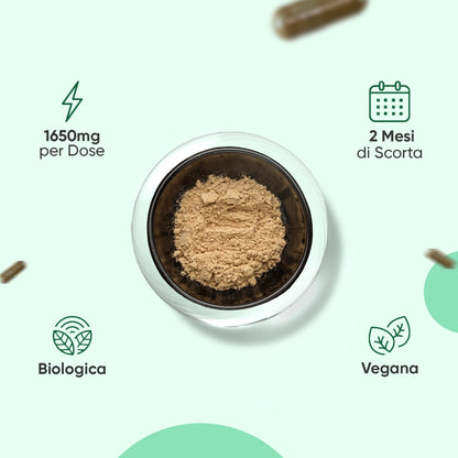 ww-it-organic-pure-moringa-it-3